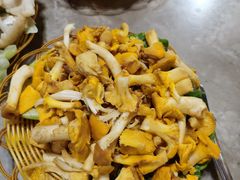 -易门野生菌府·菌海森林(月牙潭公园店)