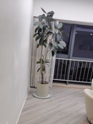 -HEYAN荷妍专业脱毛连锁机构