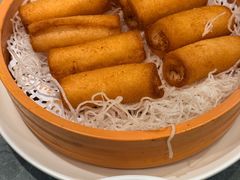 -朱记乳鸽王·非遗石岐乳鸽·全鸽宴(大兴旗舰店)