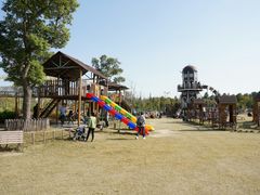 -上海长兴岛郊野公园