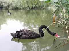 -长兴太湖图影湿地文化园