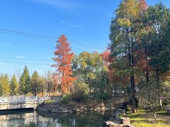 -狼山风景名胜区