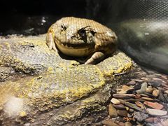 -太平洋海底世界