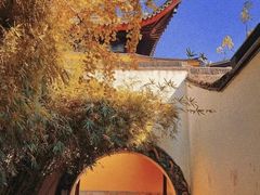 -西园戒幢律寺