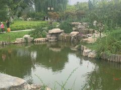 -西海子公园