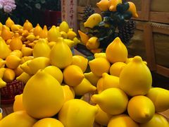 -越秀西湖花市(广州城市广场花卉店)