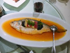 -圆苑(上海广场店)