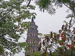 -顺峰山公园