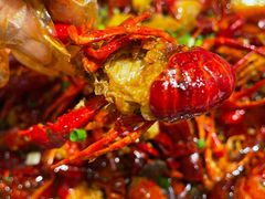 麻辣小龙虾-李叔叔虾蟹大排档(青羊店)