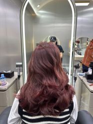 -Tloml salon