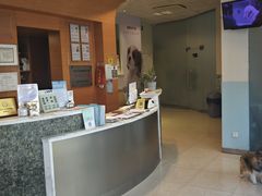 -瑞派申生动物医院·24H夜诊·国际动物医疗中心·骨外科(吴中路店)