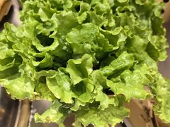 -炉队长·齐齐哈尔家庭烤肉(马家堡店)