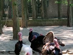 -南京金牛湖风景区