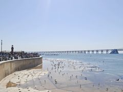 -星海广场