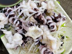 芥末海菊花-贞姨美食·老字号海鲜大排档