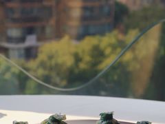 -上海会馆(香港名都店)