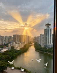 -安馨无忧月子中心(青秀店)