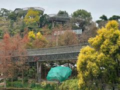 -福道