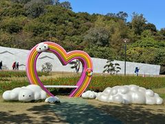 -野狸岛
