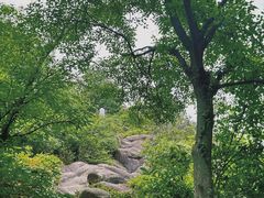 -白马涧龙池景区