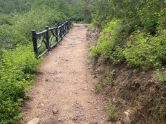 -磬锤峰森林公园