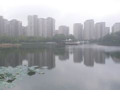-新江湾城公园