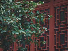 -上海醉白池公园
