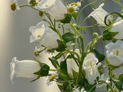 -其处·卤舍酒仓(安宁店)