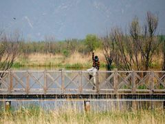 -野鸭湖国家湿地公园