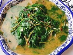 马齿苋-瑶河山里菜