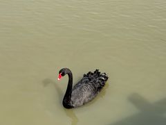 -无锡动物园·太湖欢乐园