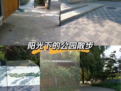 -南长河公园