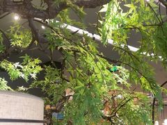 -绿茶餐厅(龙湖杭州金沙天街店)