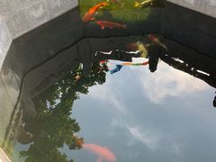 -西安市广仁寺