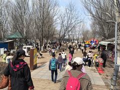 -长白岛森林公园