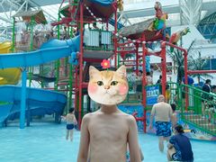 -青岛东方影都融创水世界