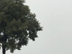 -迪卡侬(雨花店)