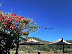 -比顿咖啡(和顺古镇店)