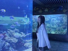 -左海海底世界