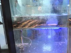 -鱼酷活鱼烤鱼(南京水游城店)