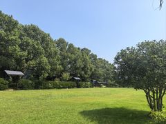 -陶祖圣境风景区