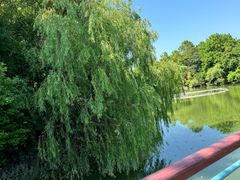 -上海吴淞炮台湾国家湿地公园