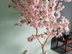 -梵希家庭影像馆(滨海店)