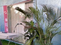 -CIAO·团建聚餐·生日派对轰趴馆(福田店)