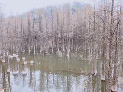 -青山湖景区