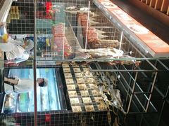 -好彩猪肚鸡(正弘城店)