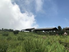 -野三坡百草畔景区
