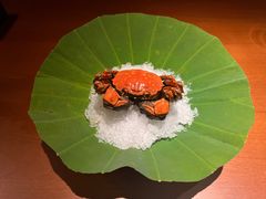 -觀芷隐轩