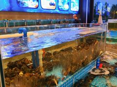 -蓝珊甄选海鲜自助·火锅大排档(近阿那亚店)