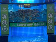 -千岛湖小鱼儿·淳安匠心农家菜